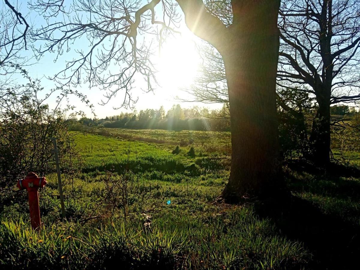 Domek Letniskowy Z Kortem Tenisowym Karwia Ostrowo Ostrowo  Exteriér fotografie
