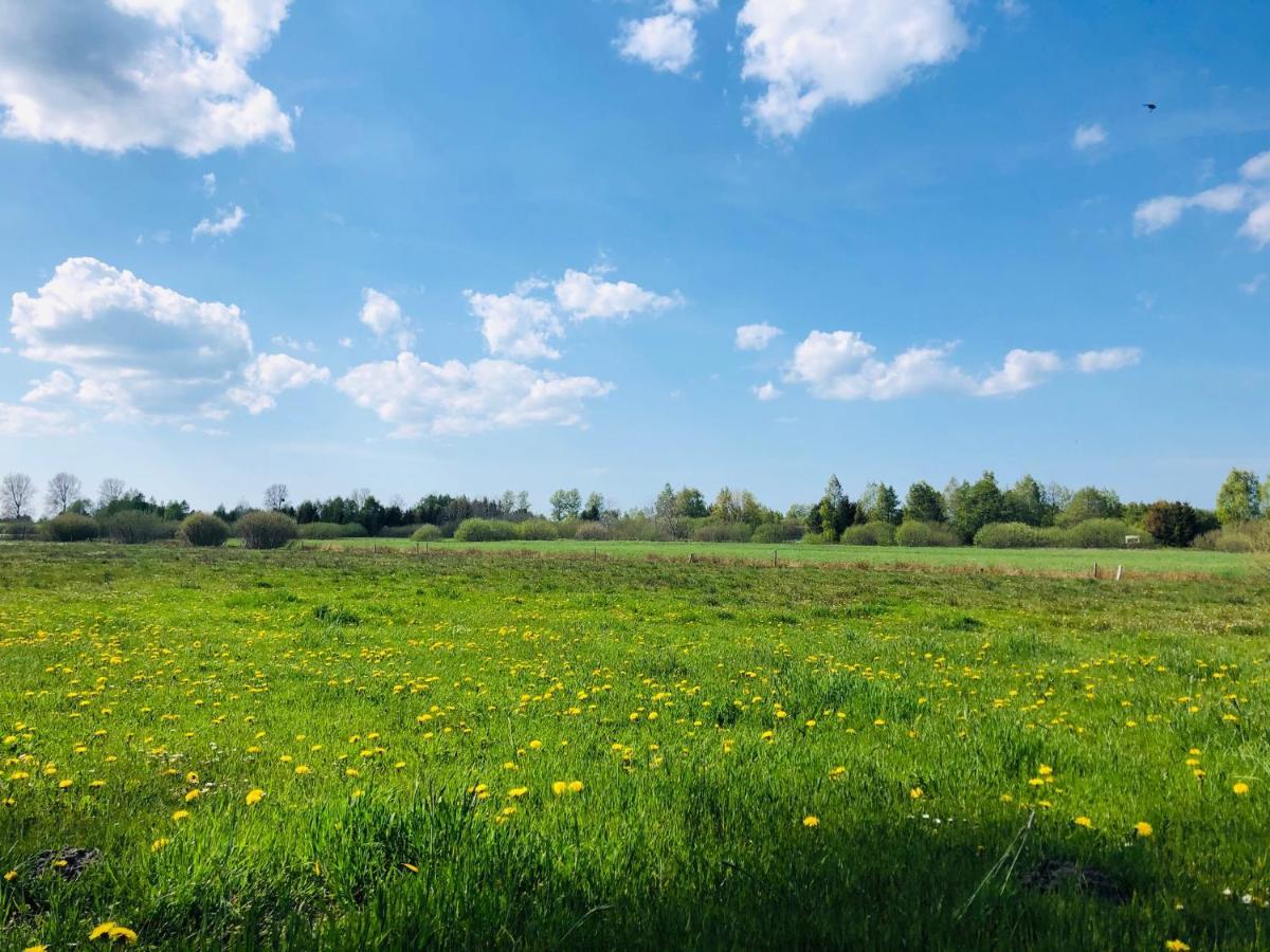 Domek Letniskowy Z Kortem Tenisowym Karwia Ostrowo Ostrowo  Exteriér fotografie